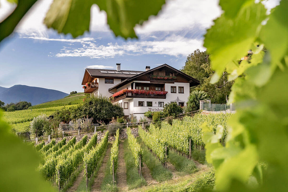 Mitten in den Weinbergen